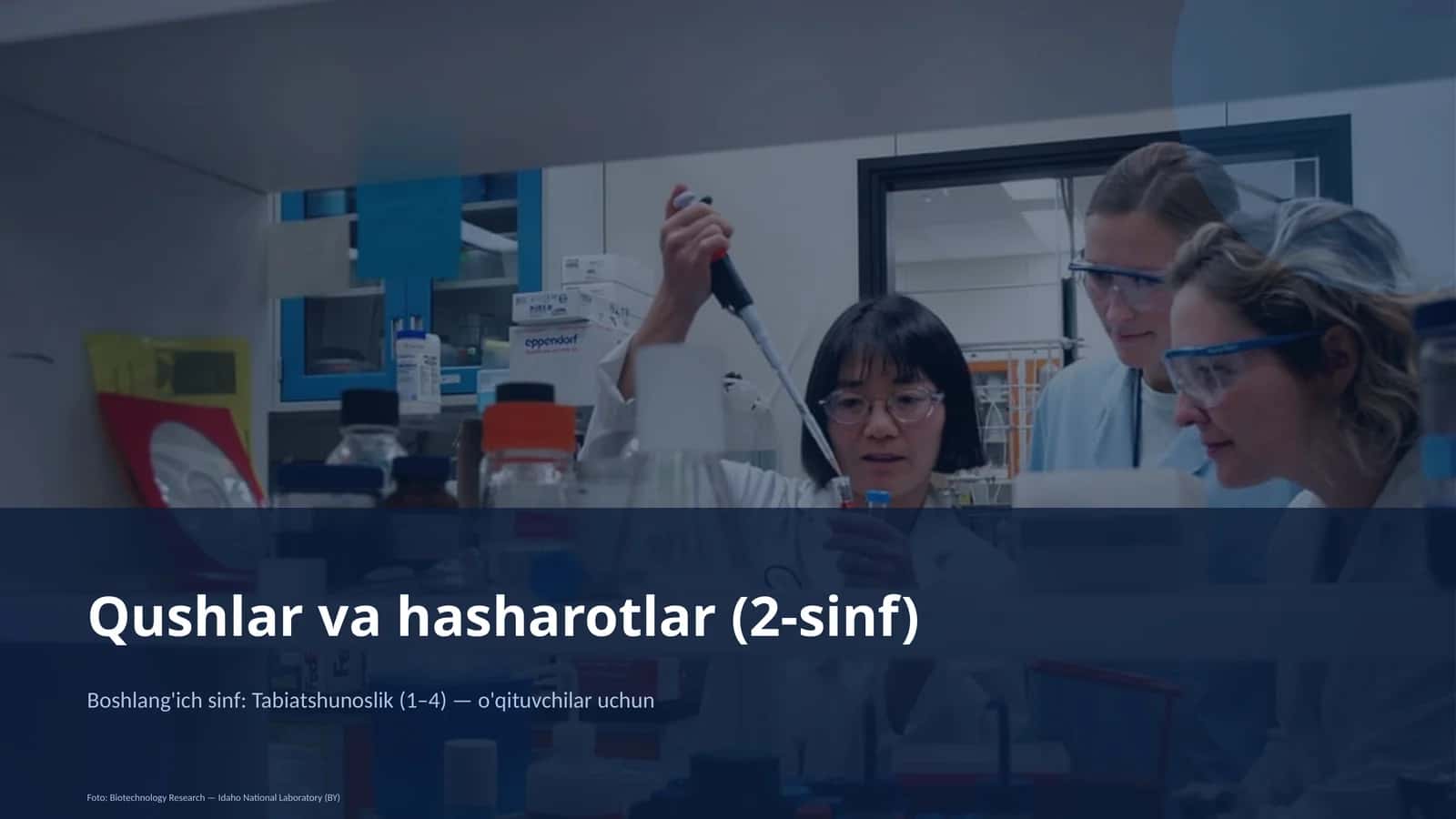 Qushlar va hasharotlar (2-sinf) 1