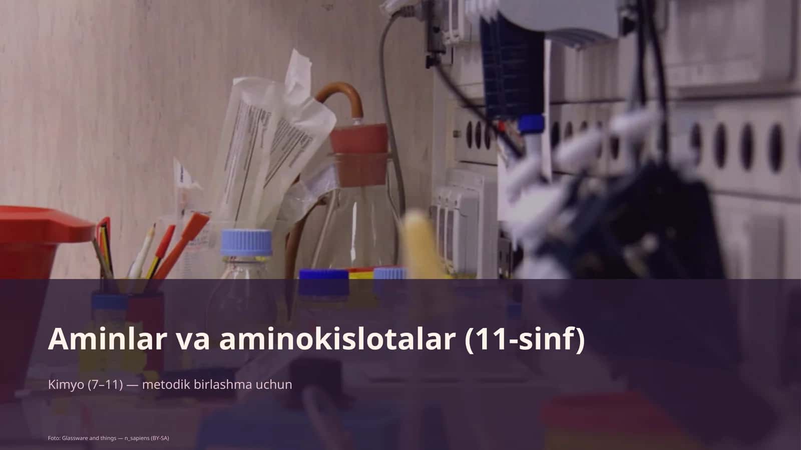 Aminlar va aminokislotalar (11-sinf) 1