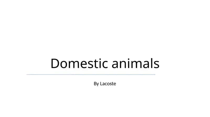 Domestic animals 1