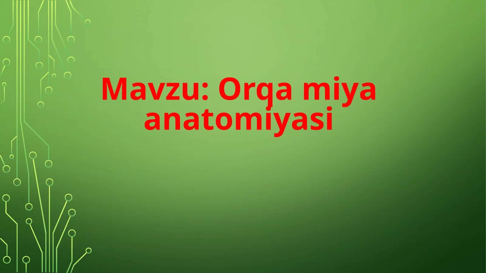 Orqamiyaanatomiyasi 1