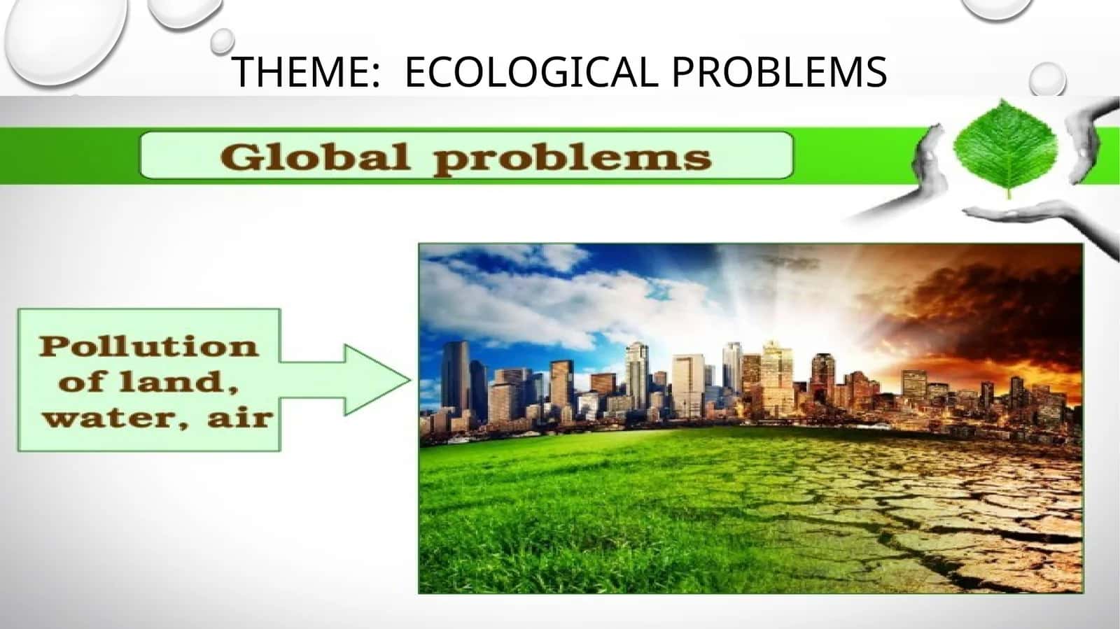 Ecological Problems 1