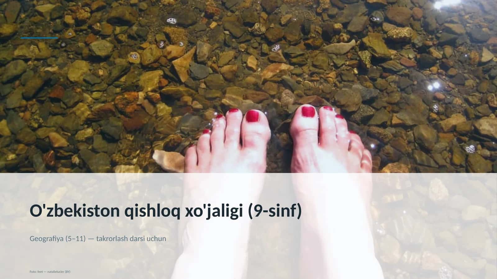 O'zbekiston qishloq xo'jaligi (9-sinf) 1