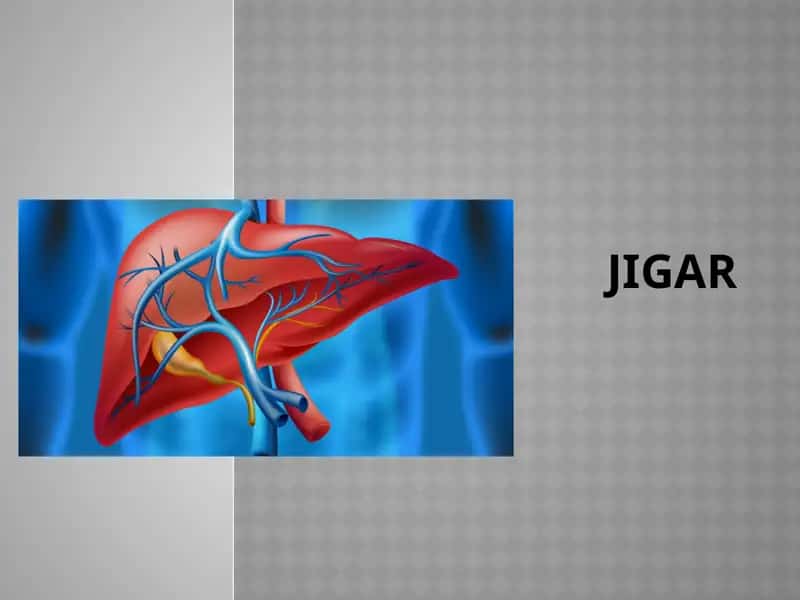 Jigar 1