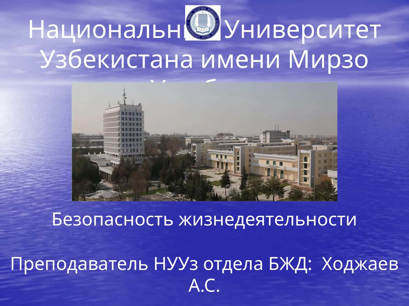 Безопасность жизнедеятельности 1