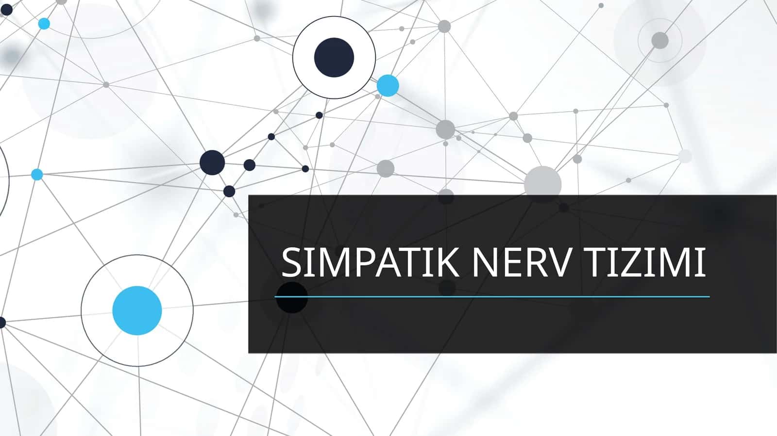SIMPATIK NERV TIZIMI 1