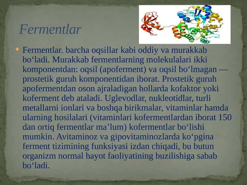 Fermentlar 1