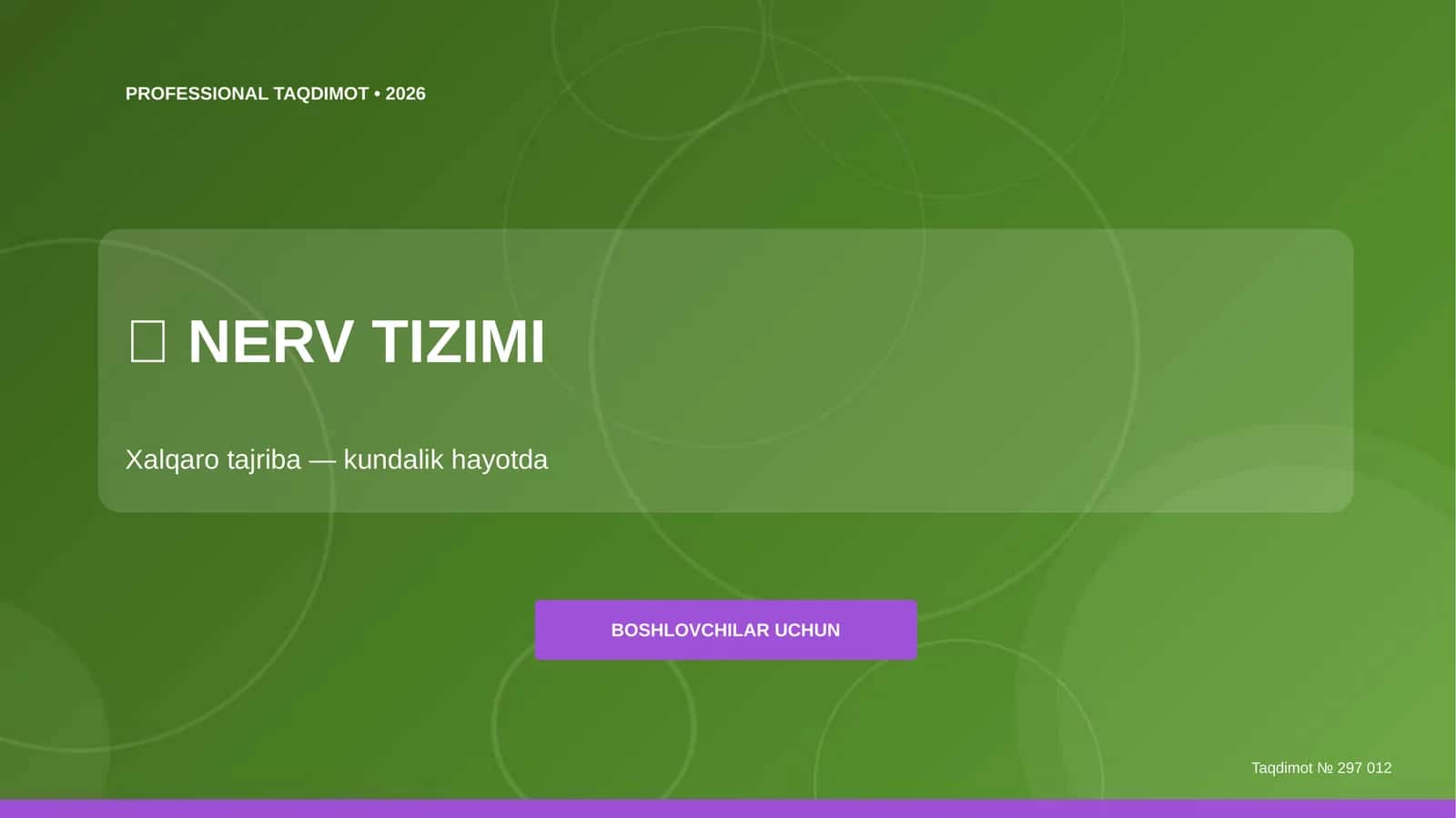 PROFESSIONAL TAQDIMOT • 2026 1