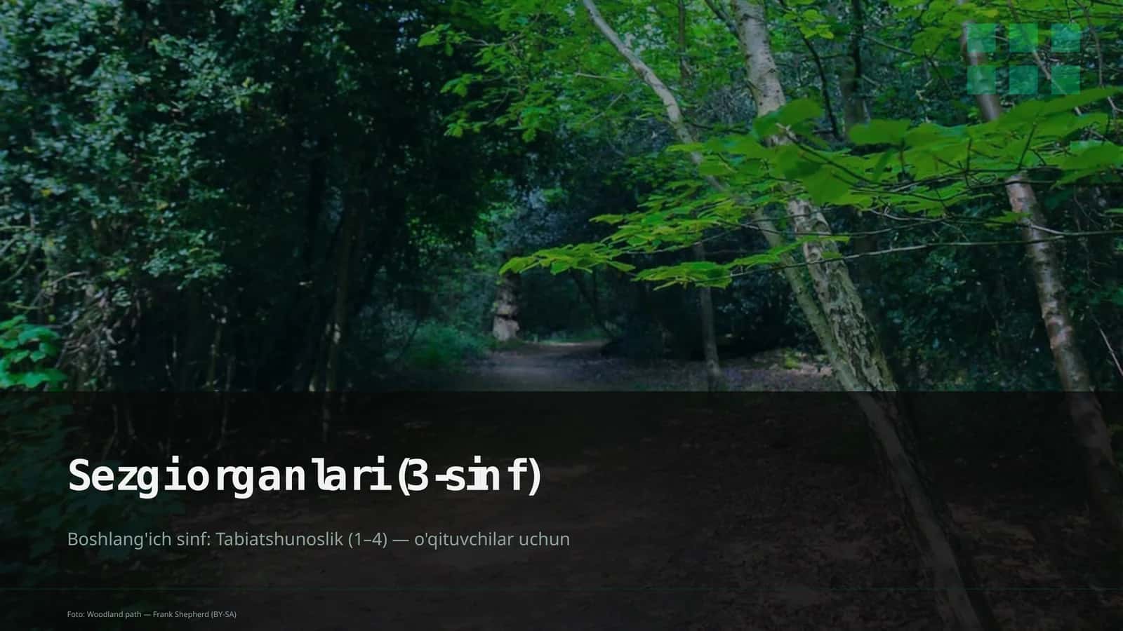 Sezgi organlari (3-sinf) 1