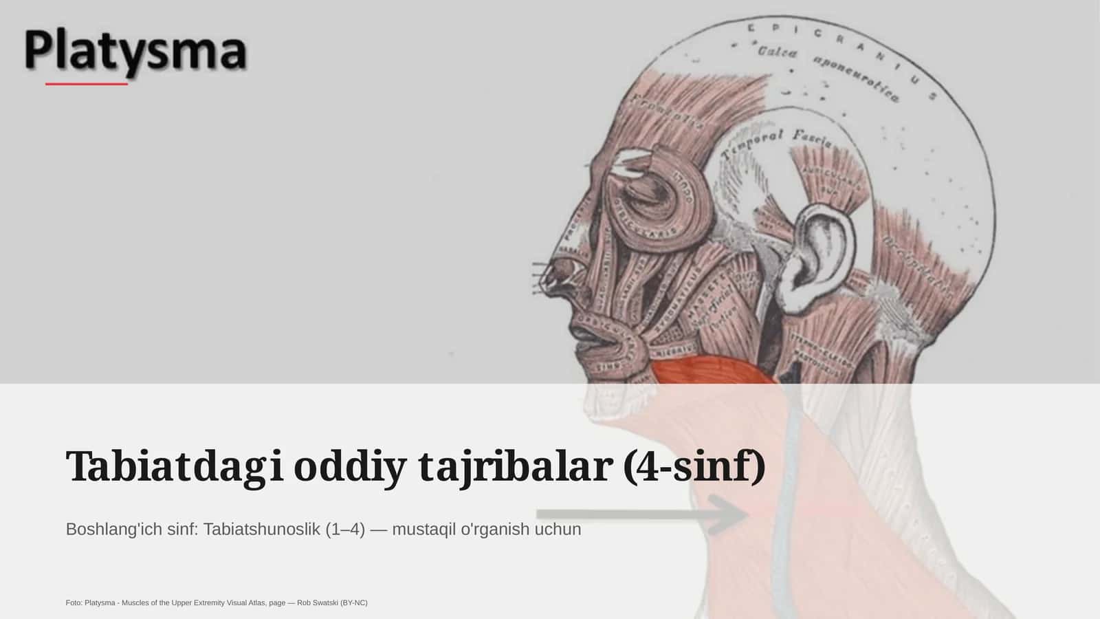 Tabiatdagi oddiy tajribalar (4-sinf) 1