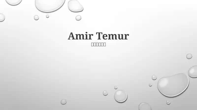 Amir Temur 1