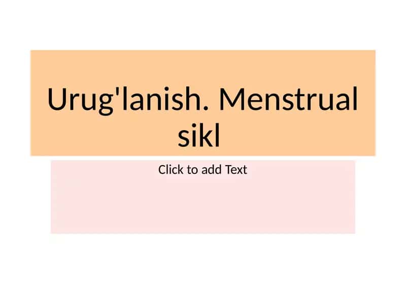 Internal Female Reproductive Organs 1