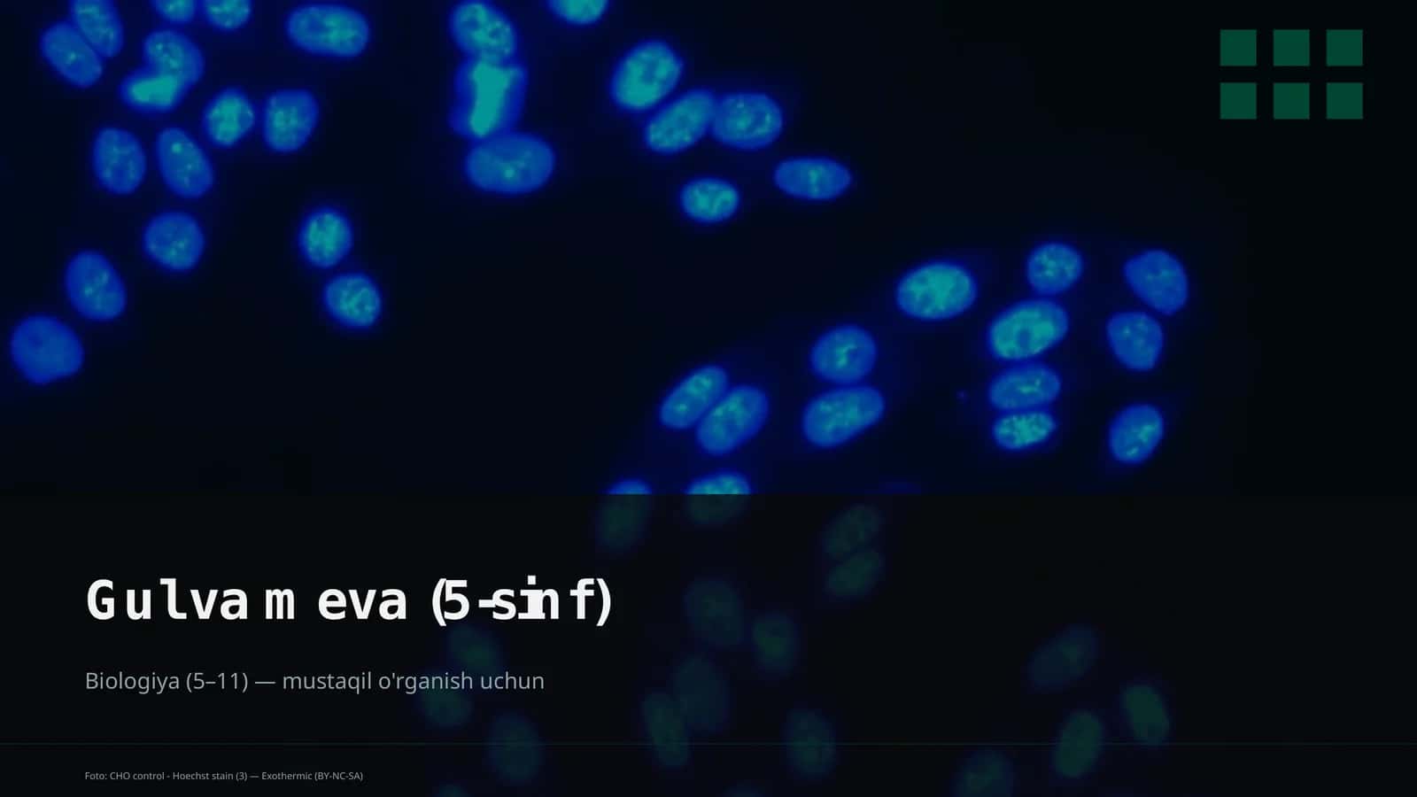 Gul va meva (5-sinf) 1