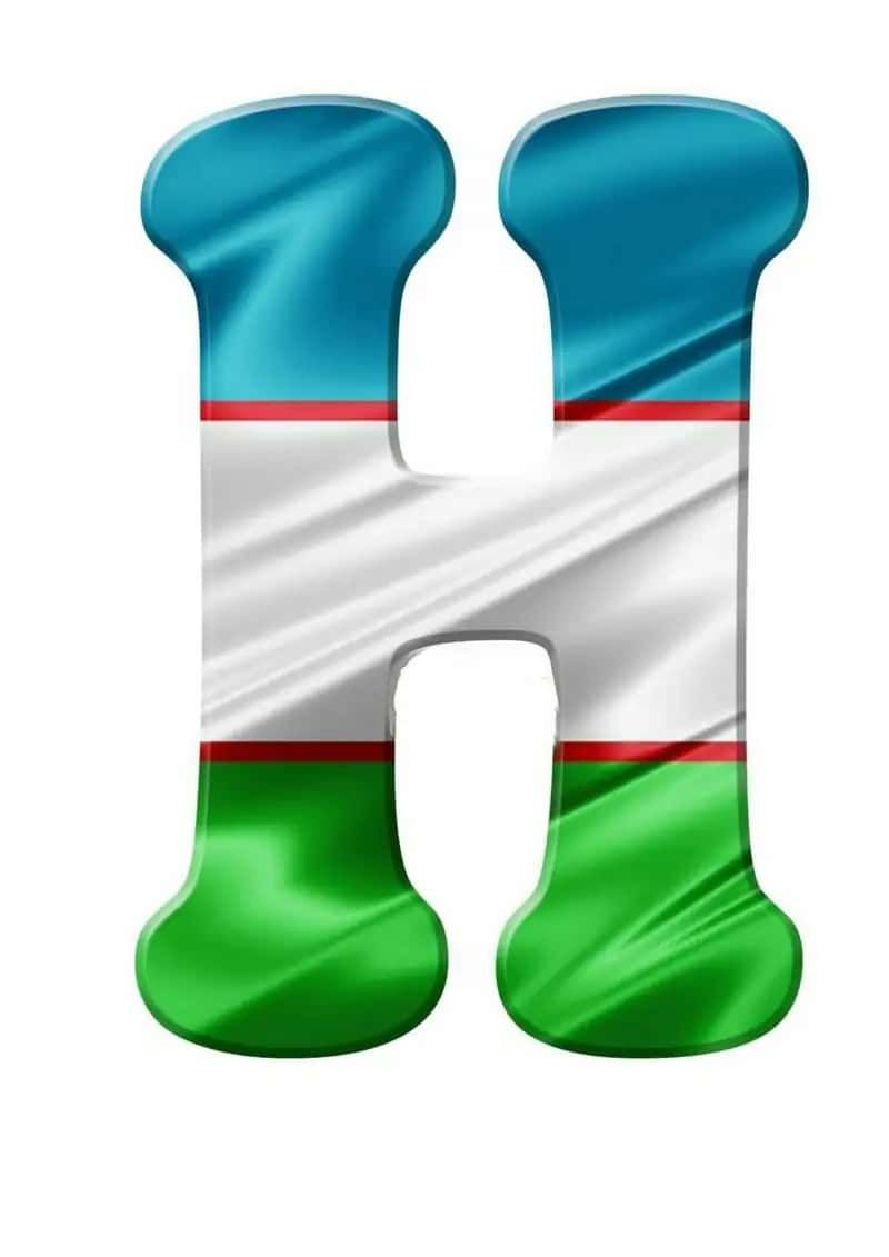 Hilpira bayrogʻim 1