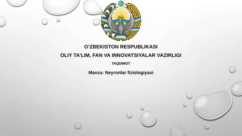 Neyronlarfiziologiyasi 1