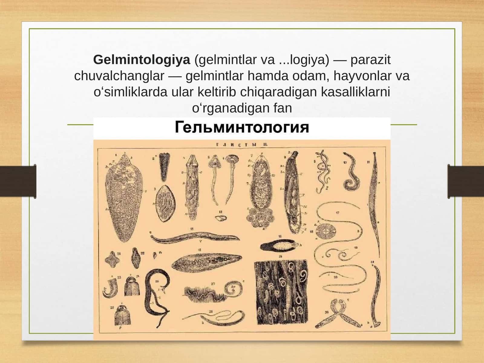 Gelmintologiya 1