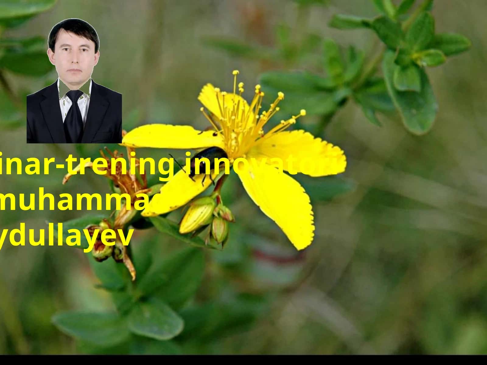 Sayfi Saroyining g`azallari 1