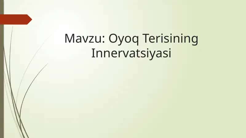 Oyoq Terisining Innervatsiyasi 1