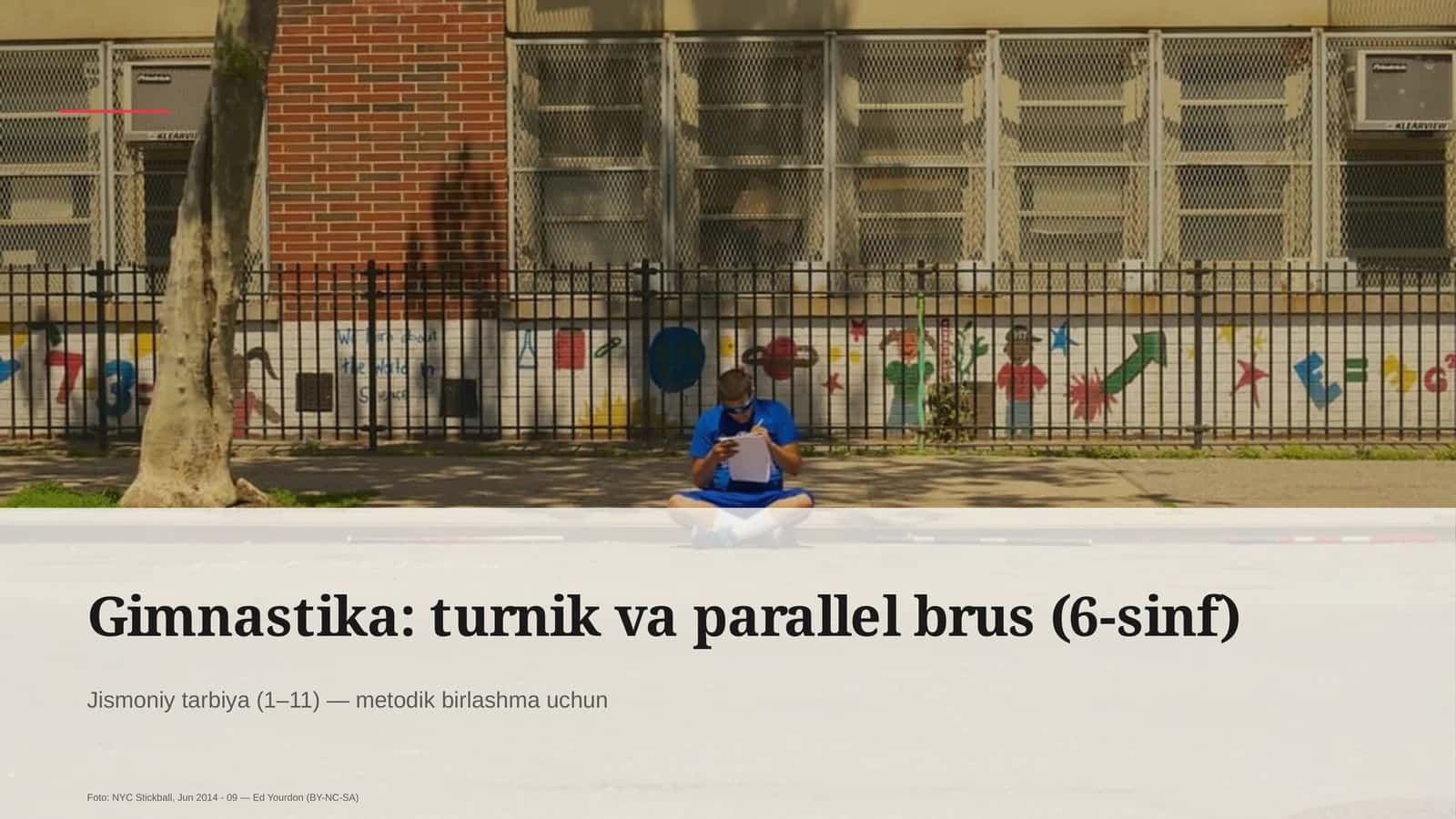 Gimnastika: turnik va parallel brus (6-sinf) 1