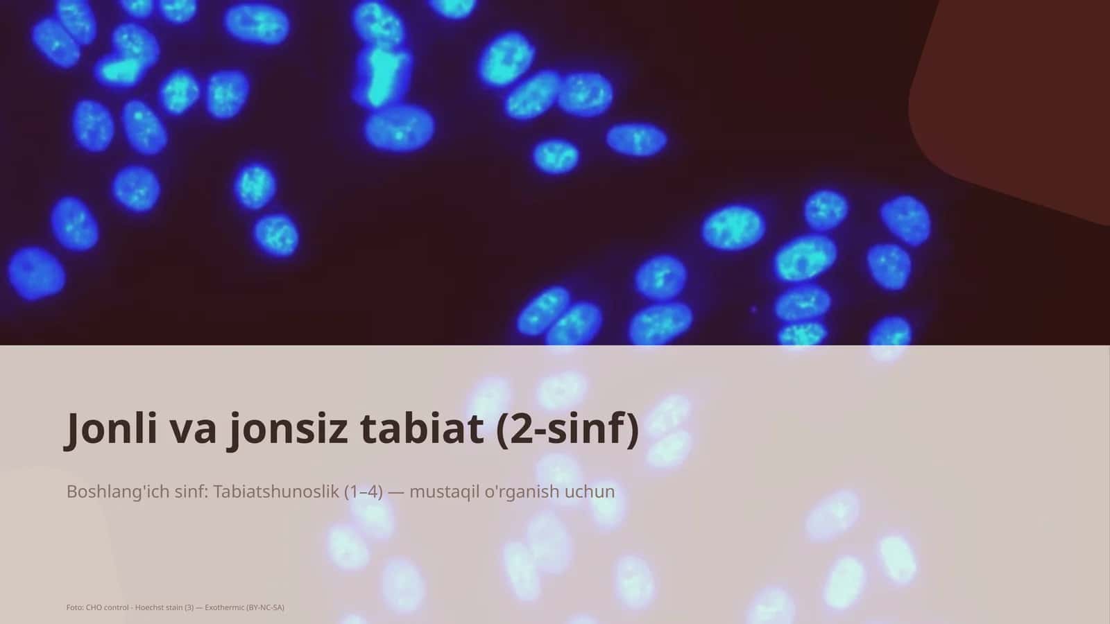 Jonli va jonsiz tabiat (2-sinf) 1