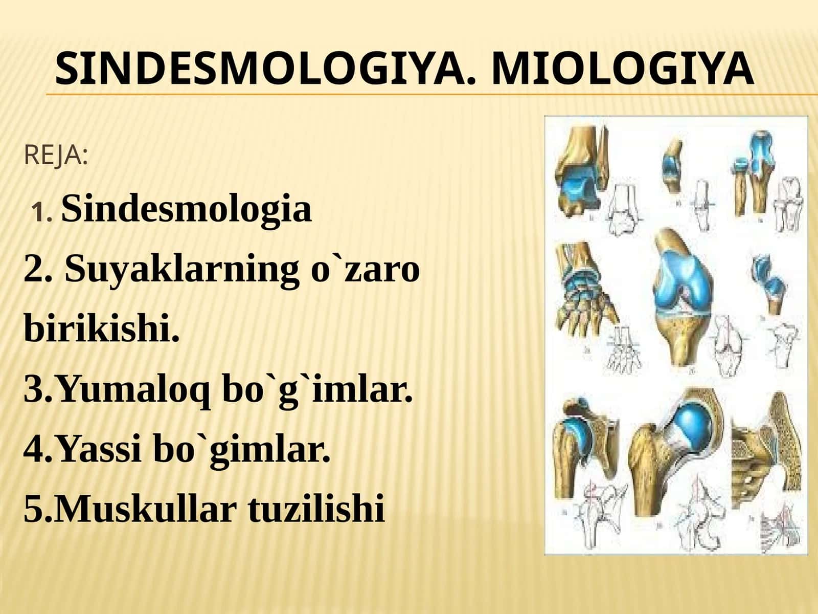 sindesmologiya. miologiya 1