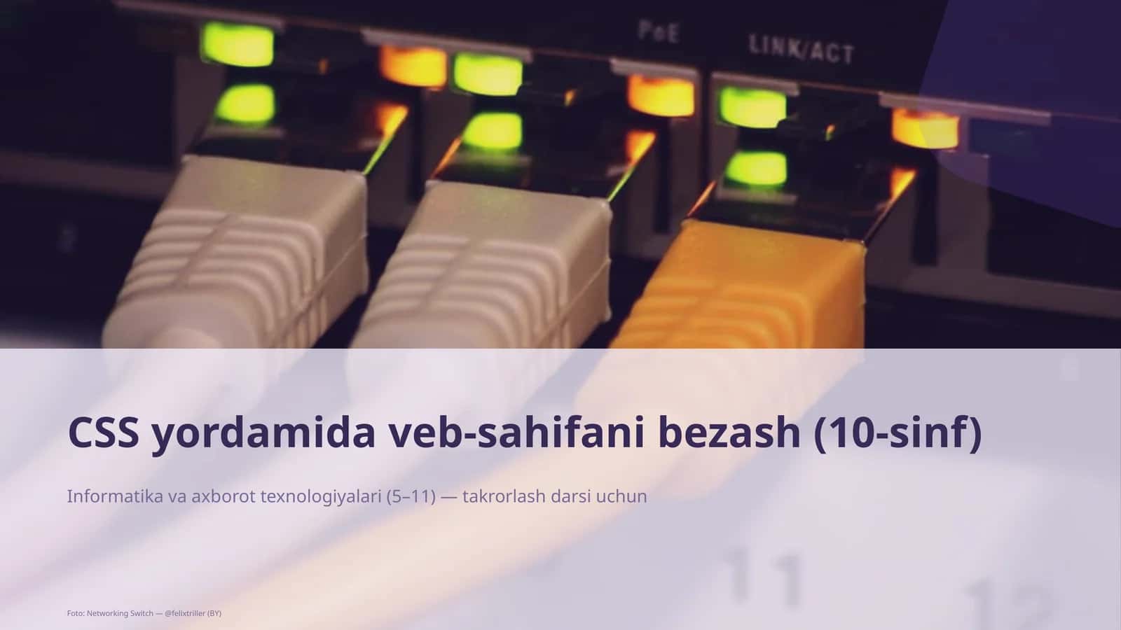 Networking Switch 1