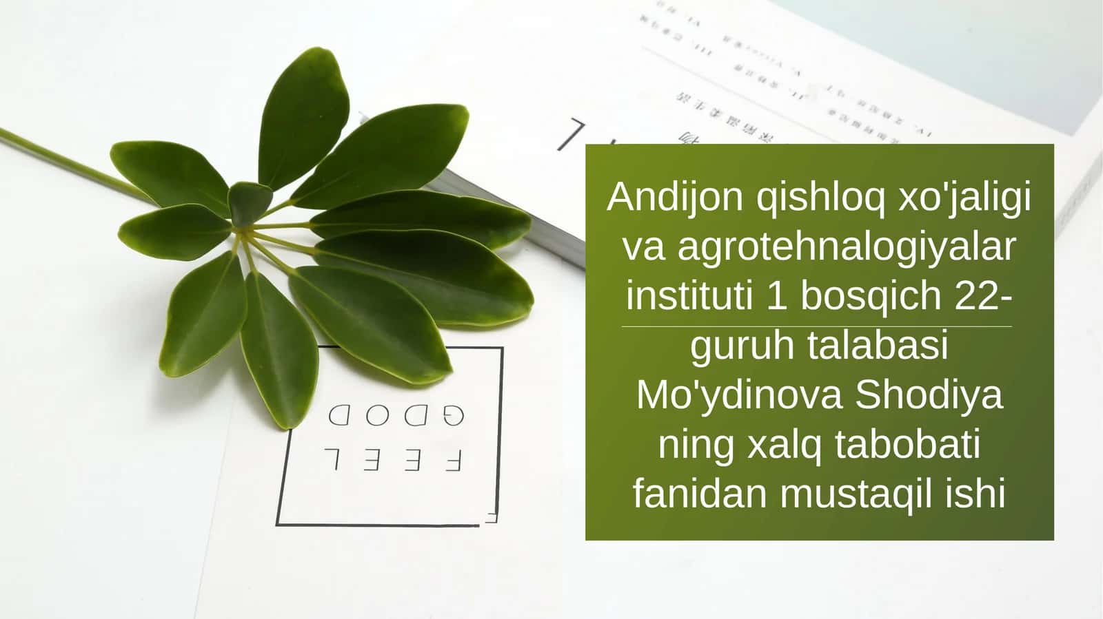 Yaponsaforasi 1