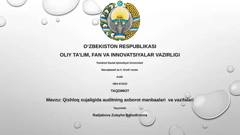 Qishloq xujaligida auditning axborot manbaalari va vazifalari 1