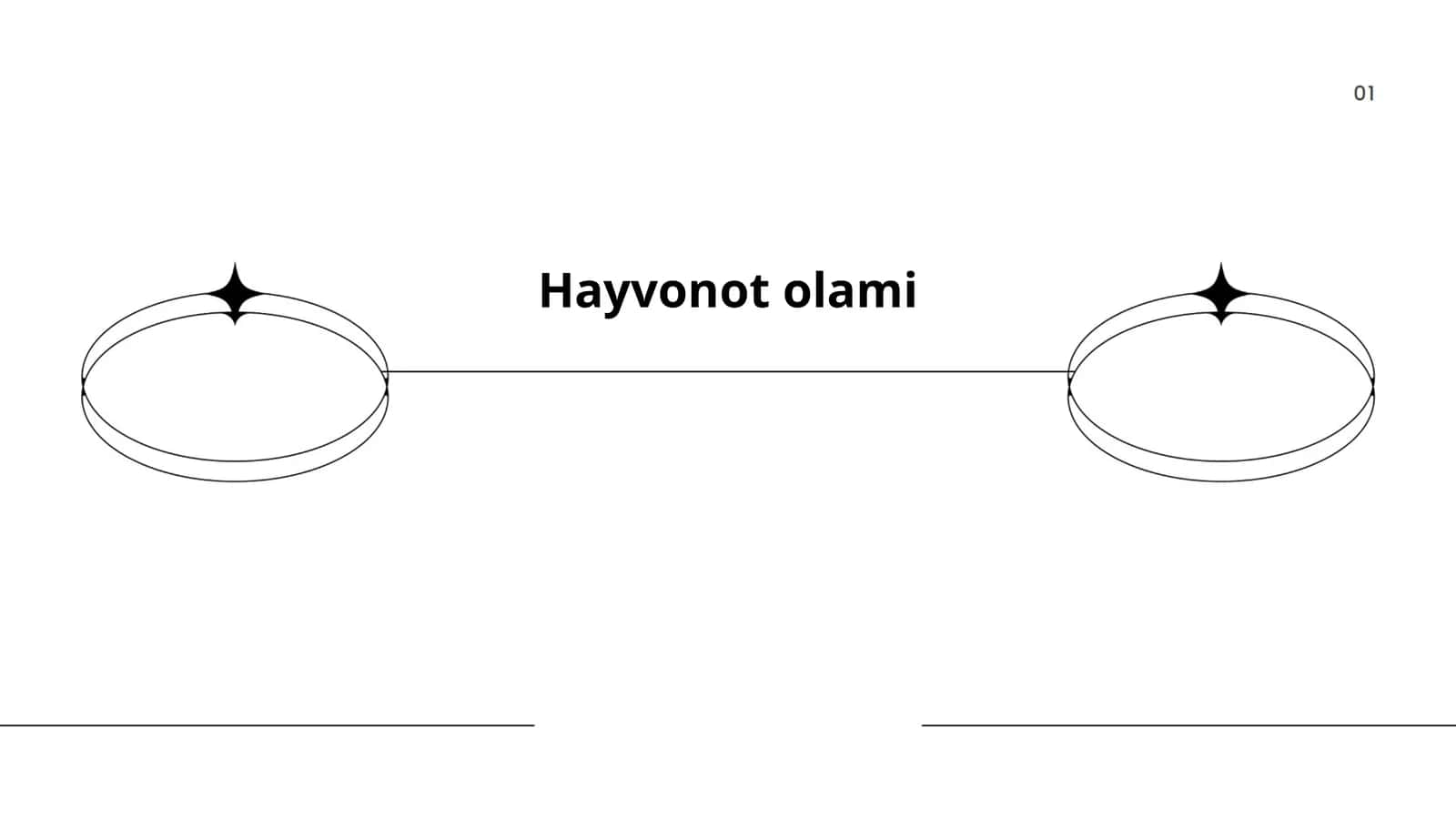 Hayvonot olami 1
