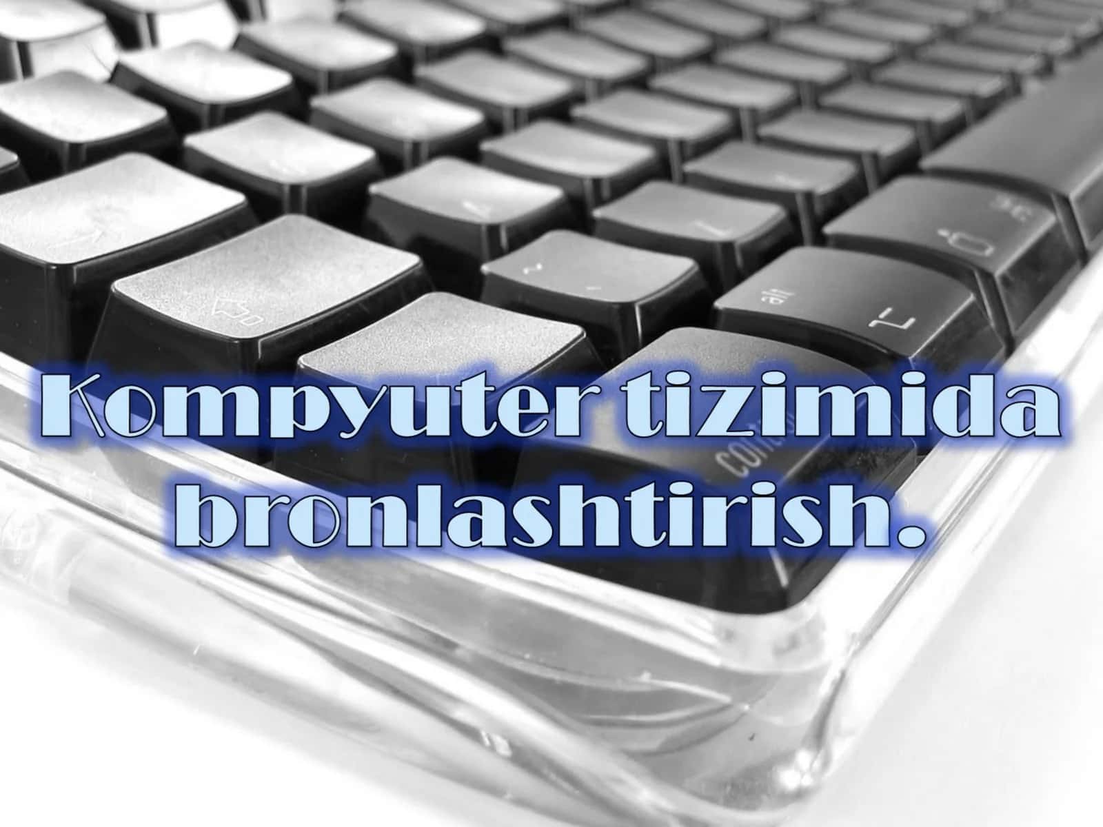 Amadeous bronlash tizimi 1