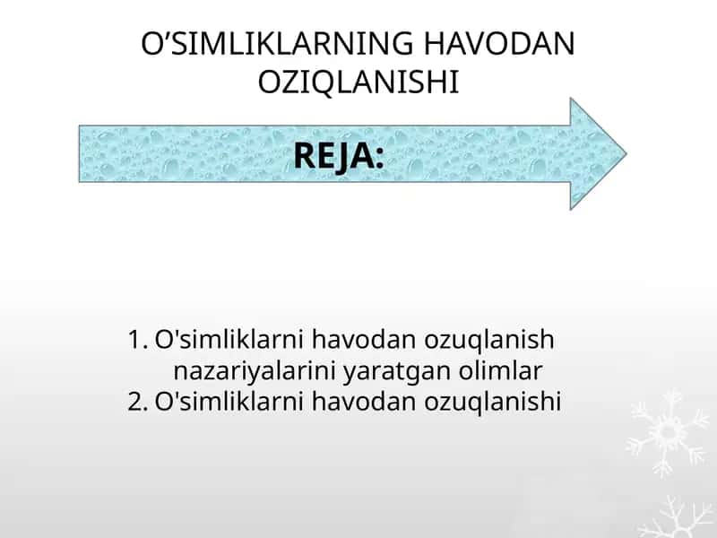 O’SIMLIKLARNING HAVODAN OZIQLANISHI 1