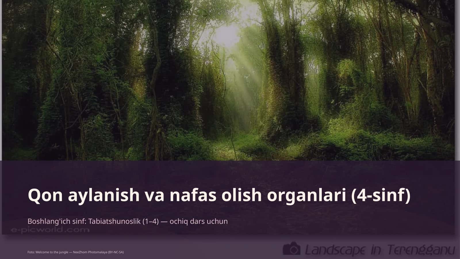 Qon aylanish va nafas olish organlari (4-sinf) 1