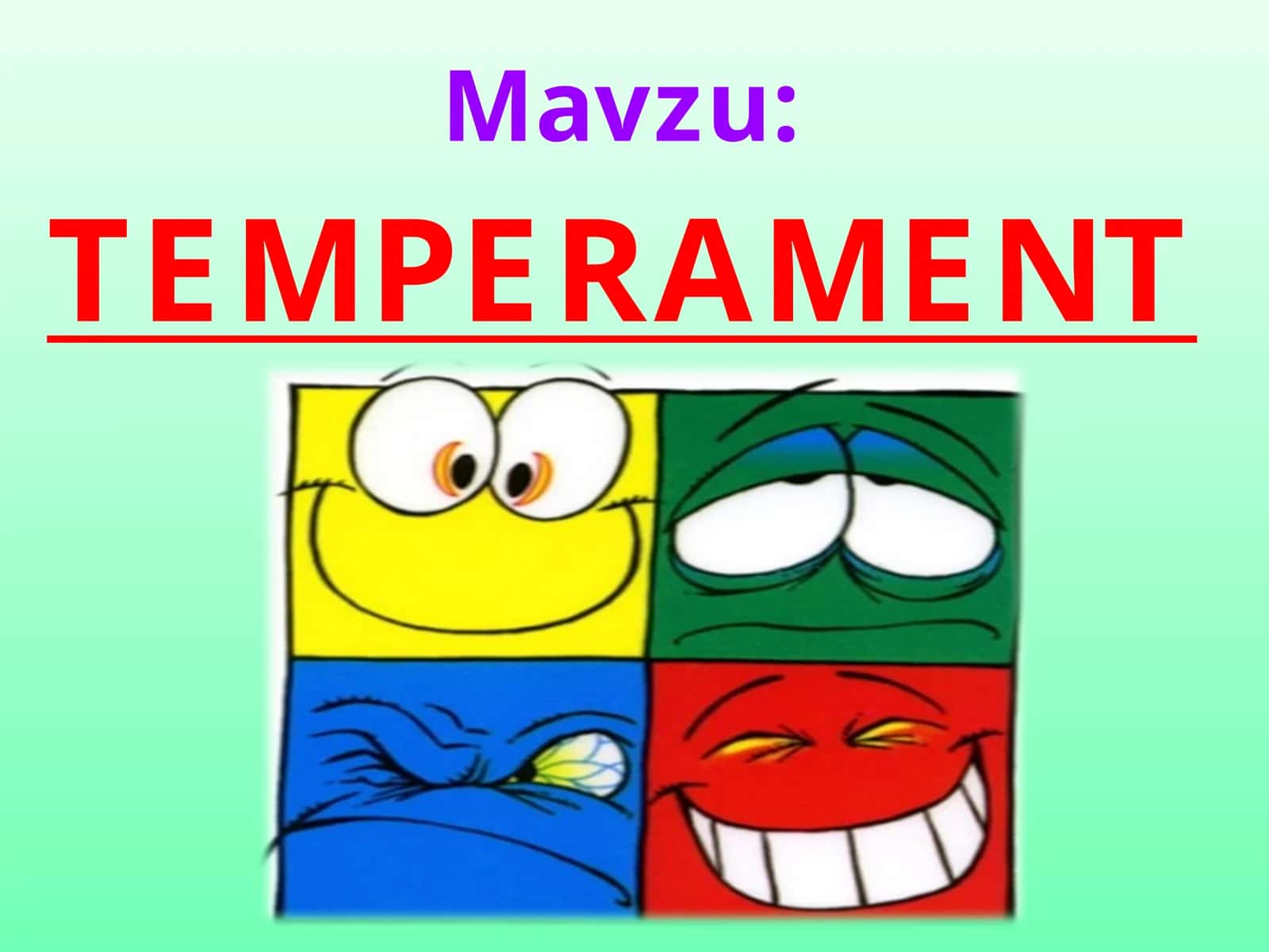 TEMPERAMENT 1