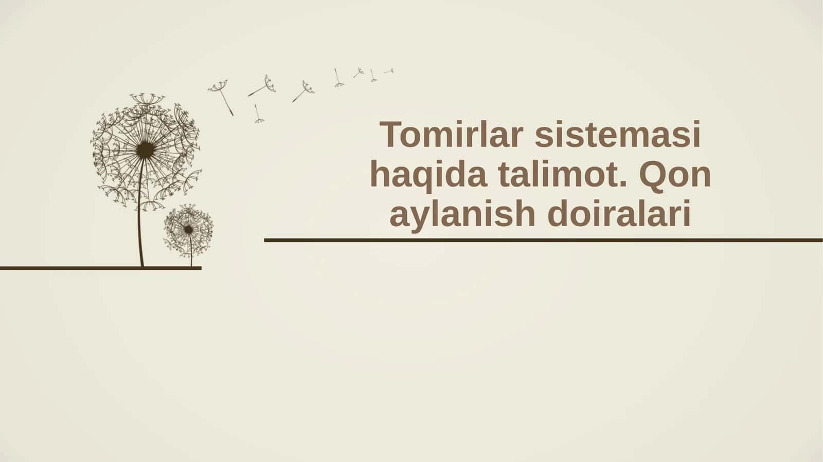 Qon tomirlar sistemasini tushunish 1