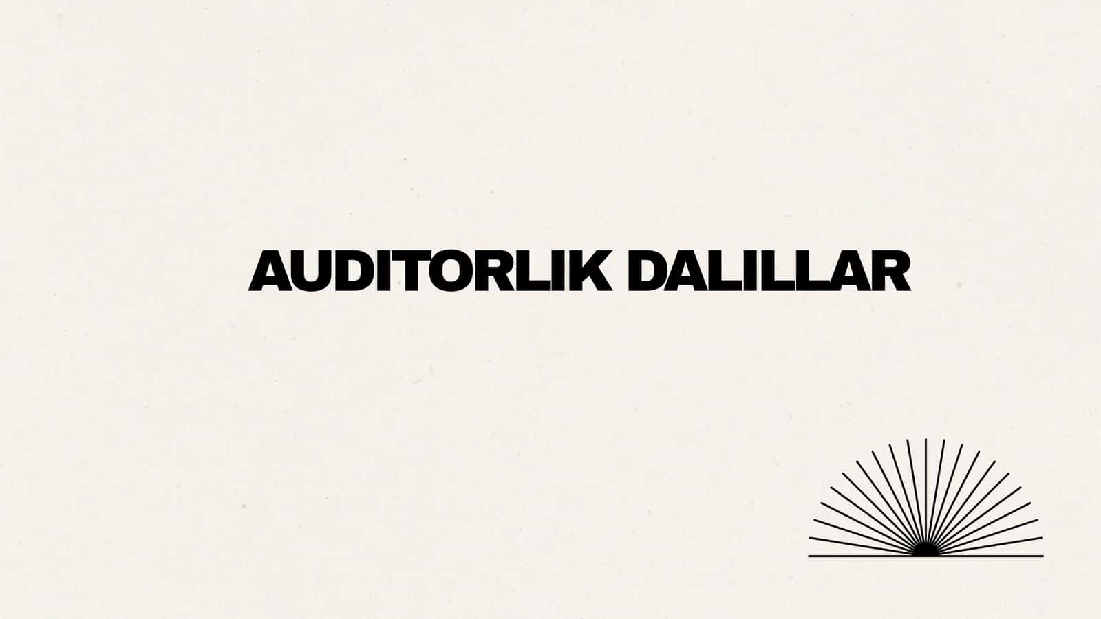Auditorlik dalillar 1