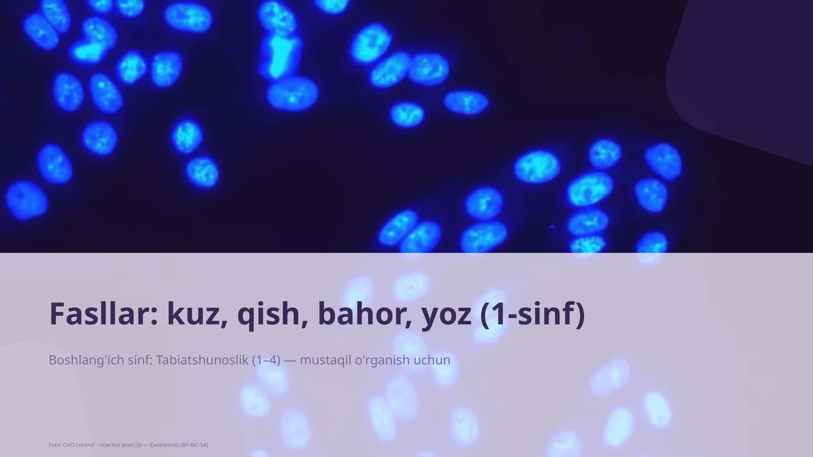 Tabiatshunoslik Dars Rejasi 1