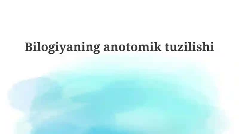 Bilogiyaninganotomiktuzilishi