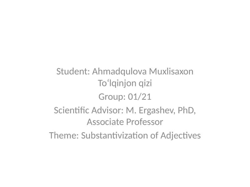 Substantivization of Adjectives 1