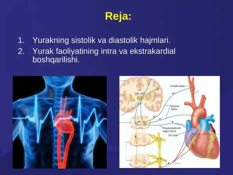 Yurakning sistolik va diastolik hajmlari 1