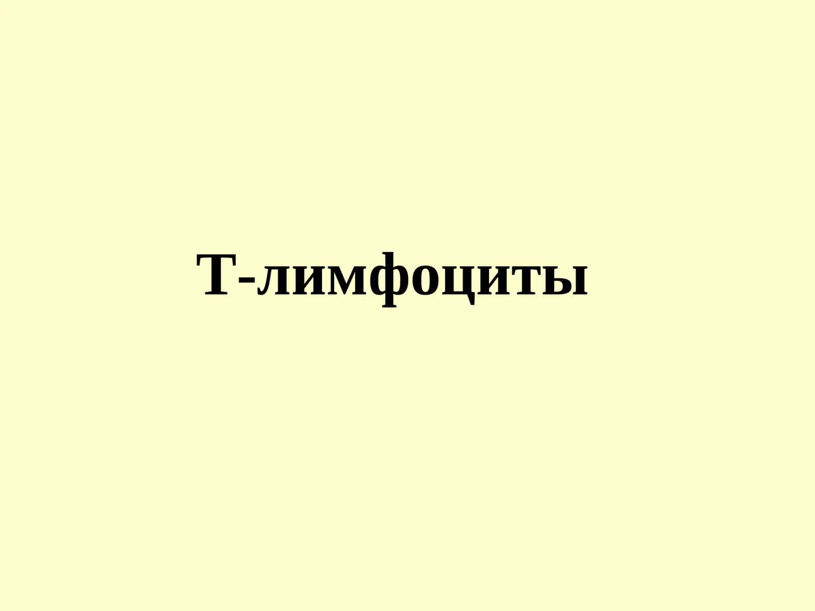 Т-лимфоциты 1