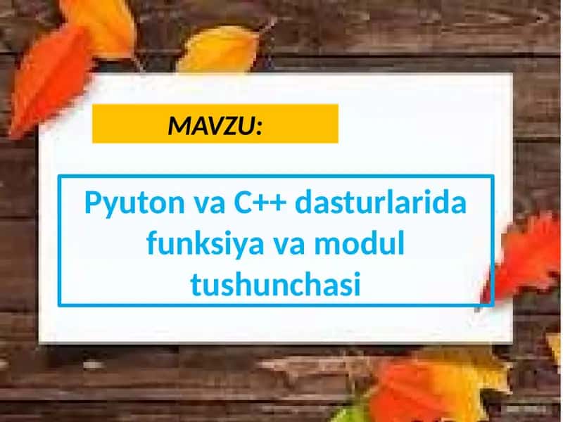 Pyuton va C++ dasturlarida funksiya va modul tushunchasi 1