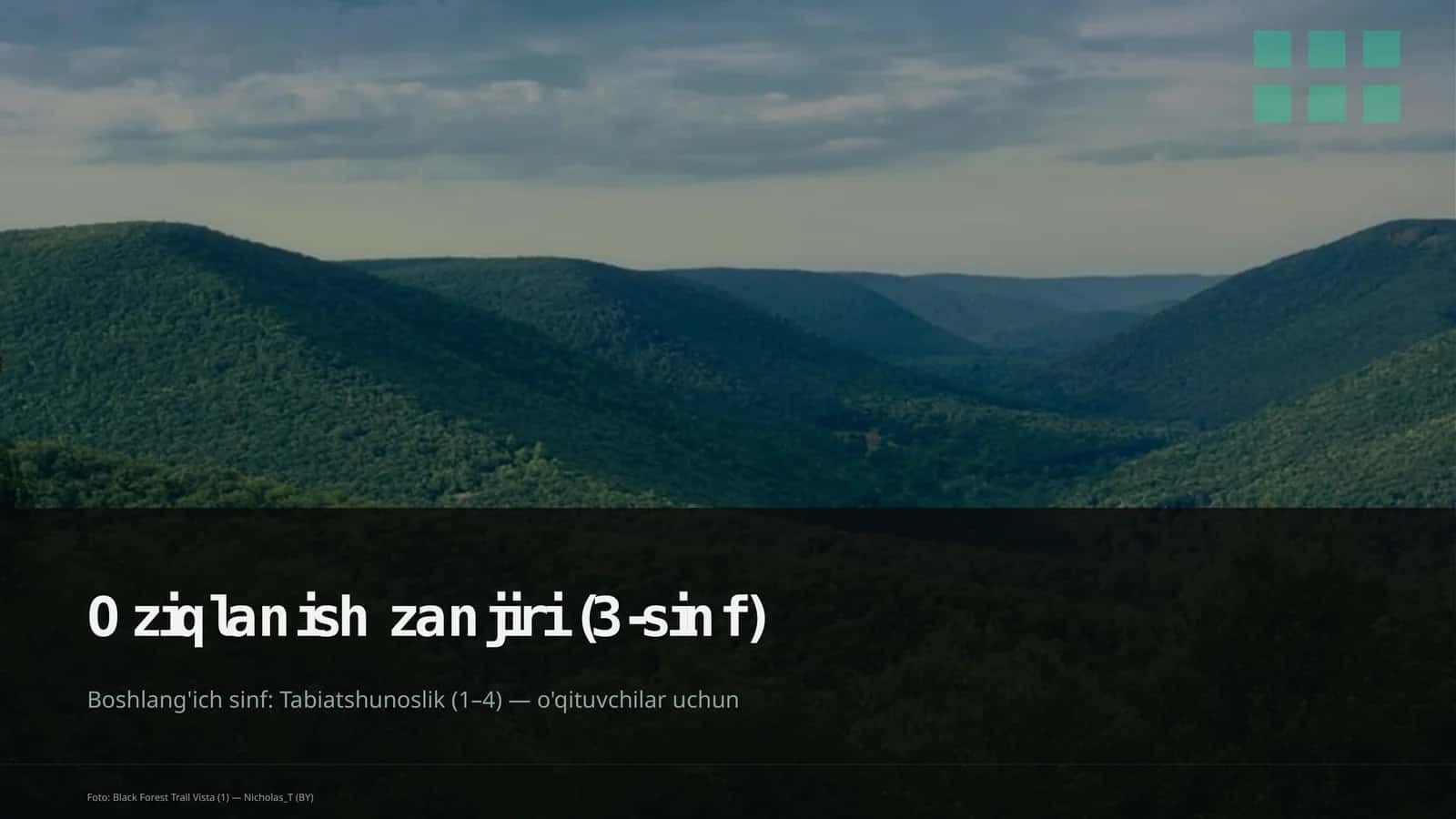 Oziqlanish zanjiri (3-sinf) 1
