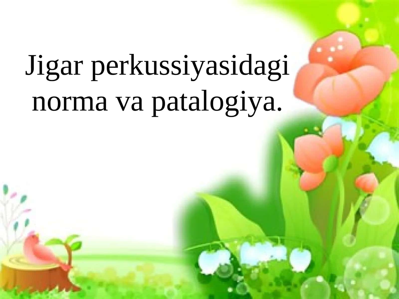 Jigar perkussiyasidagi norma va patalogiya 1