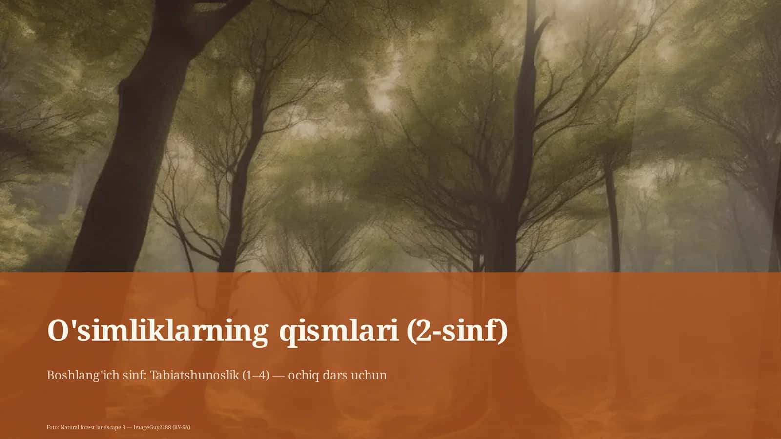 O'simliklarning qismlari (2-sinf) 1