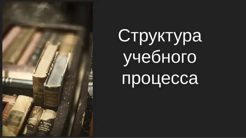 Структура учебного процесса 1