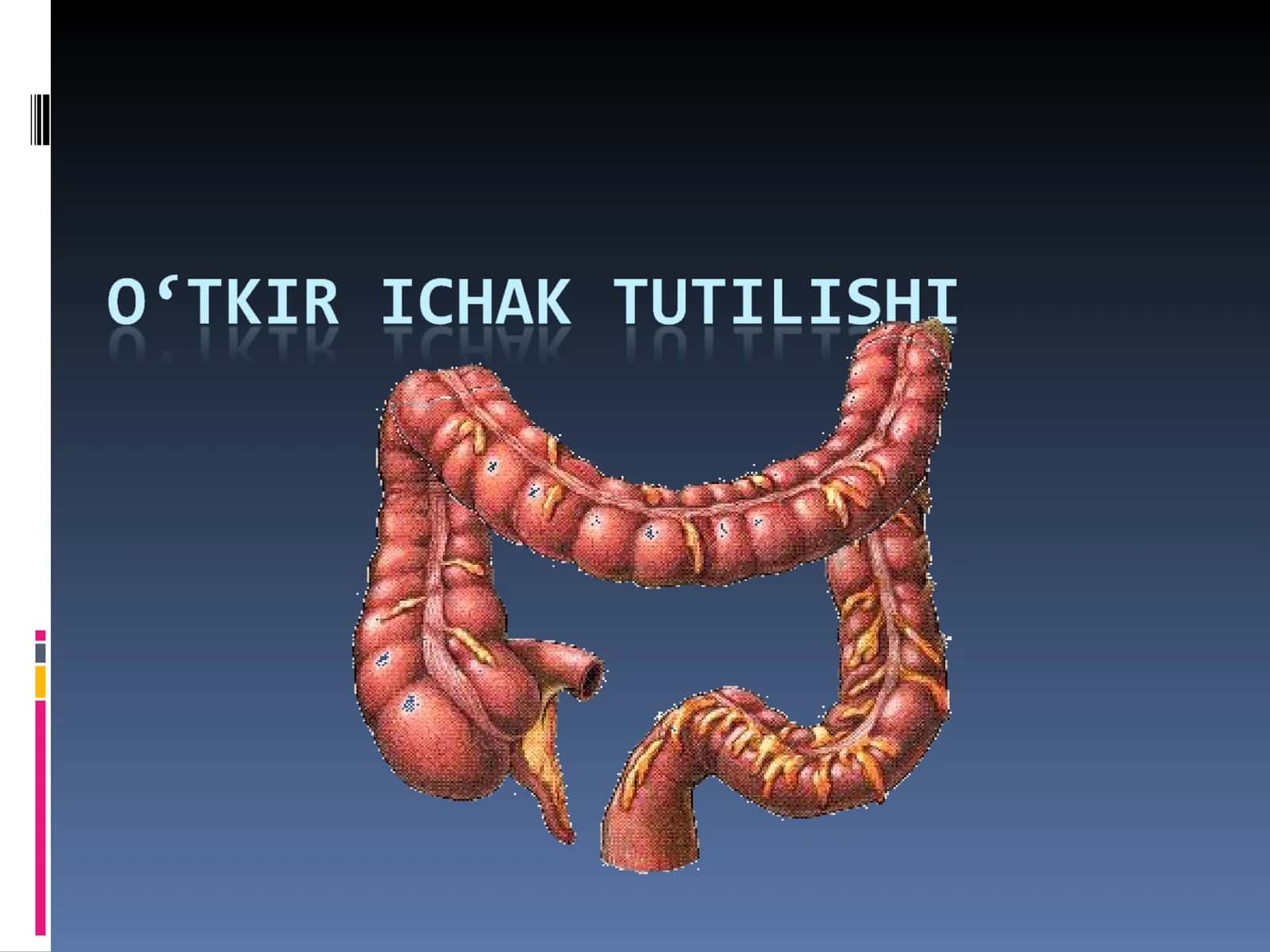 Ichak tutilishi 1
