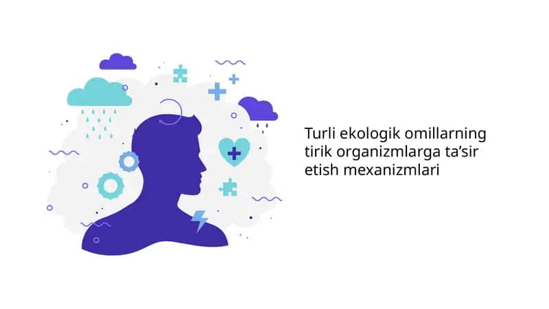 Turli ekologik omillarning tirik organizmlarga ta’sir etish mexanizmlari 1