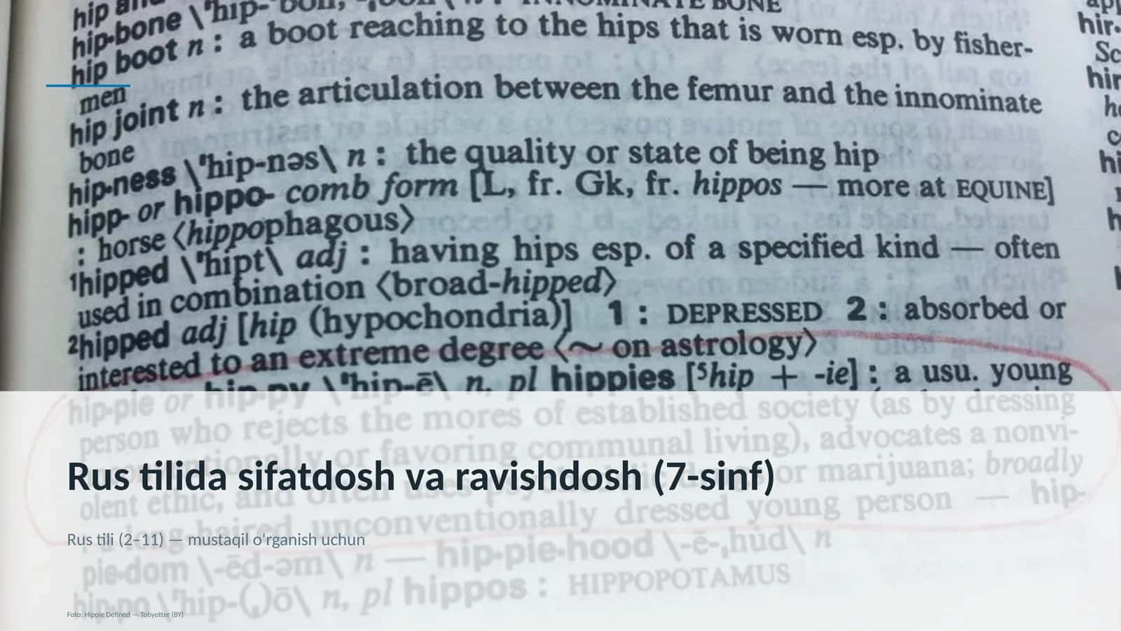 Rus tilida sifatdosh va ravishdosh (7-sinf) 1