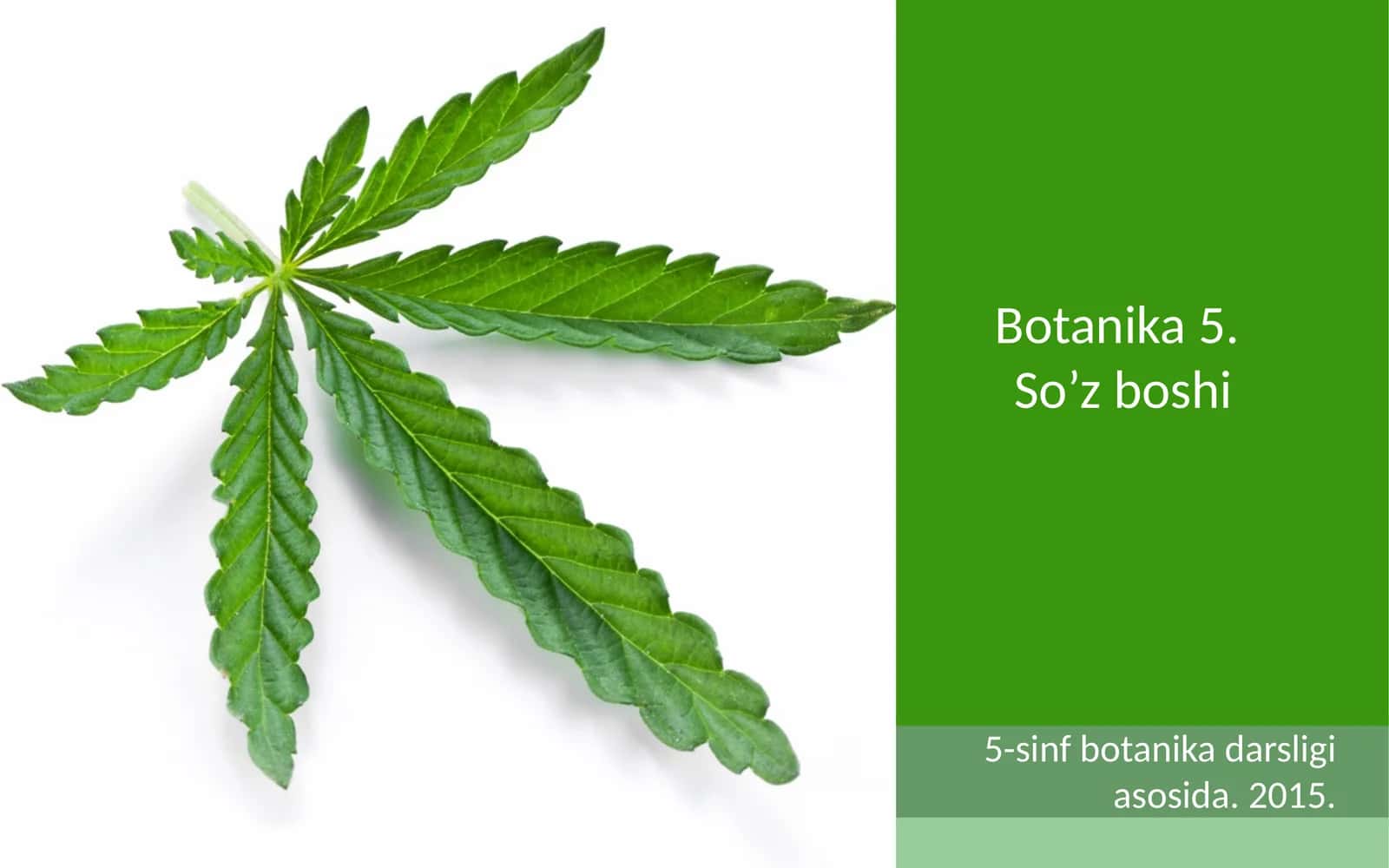 Botanika 5.So’z boshi 1