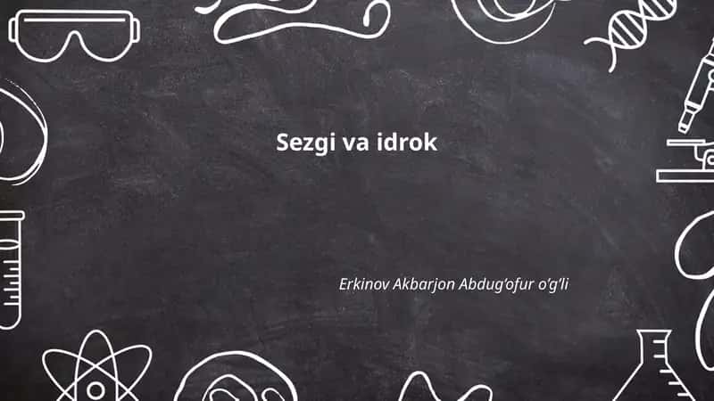 Sezgi va idrok 1