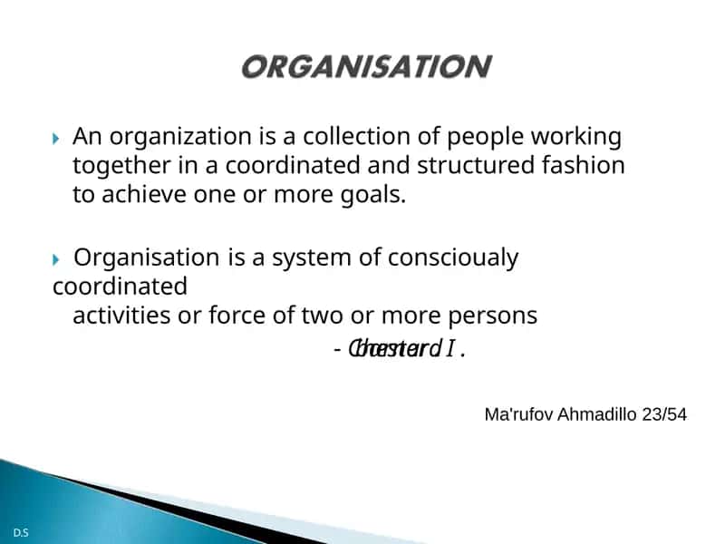 Organisation 1